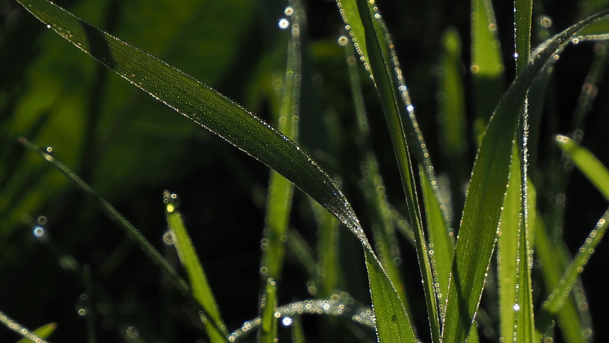 Valokuvaaja: Arja Valtonen