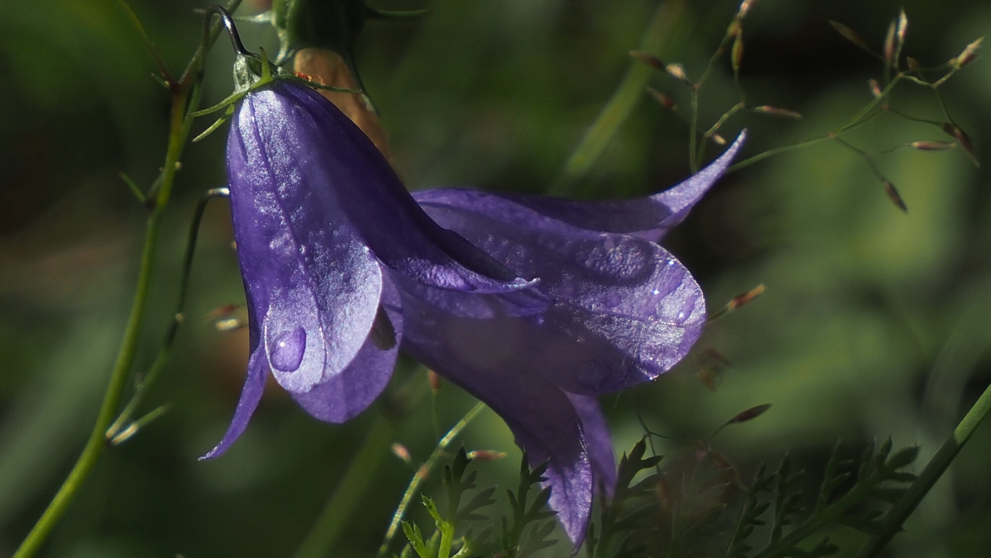 Valokuvaaja: Arja Valtonen