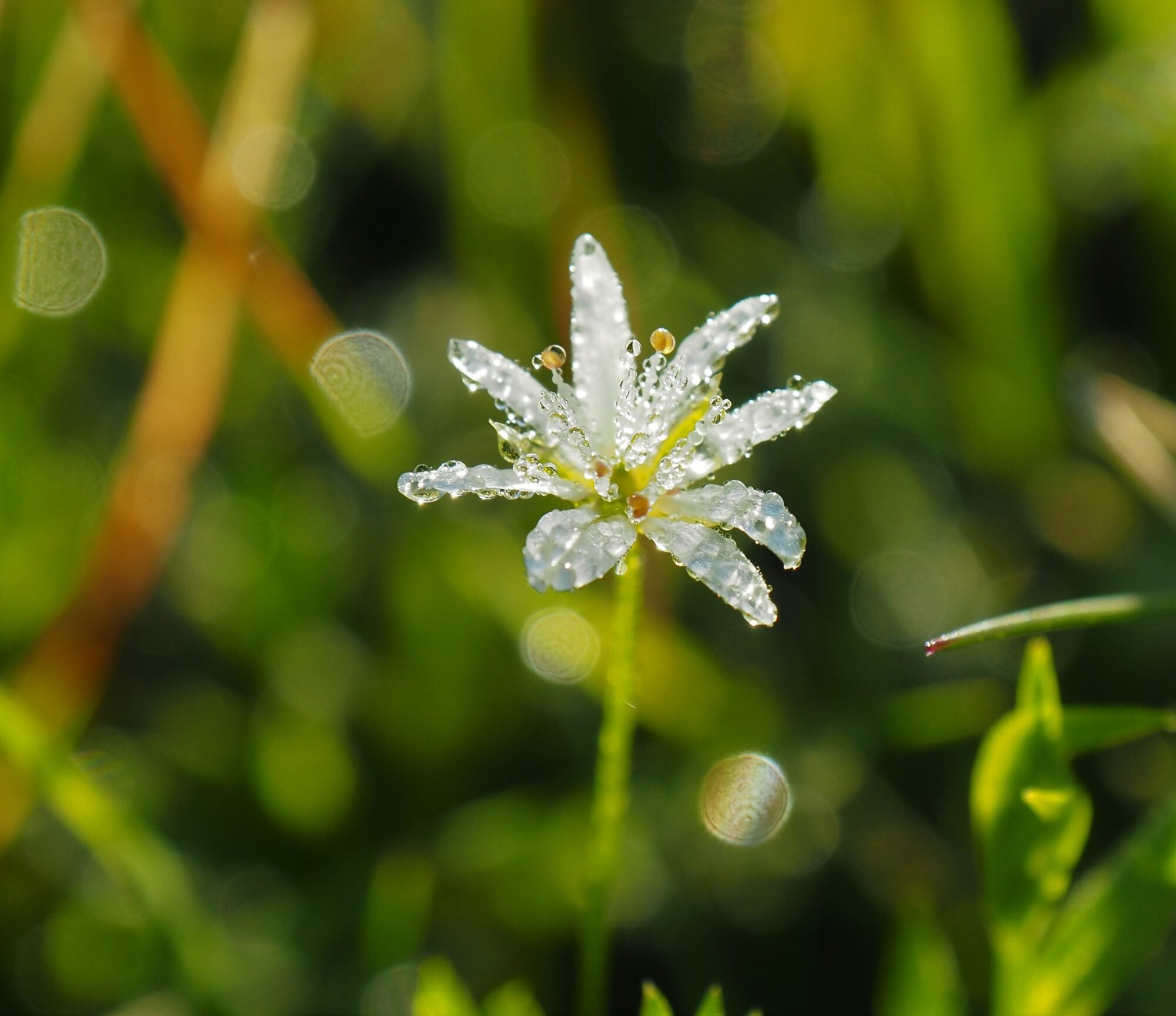 Valokuvaaja: Martti Valtonen