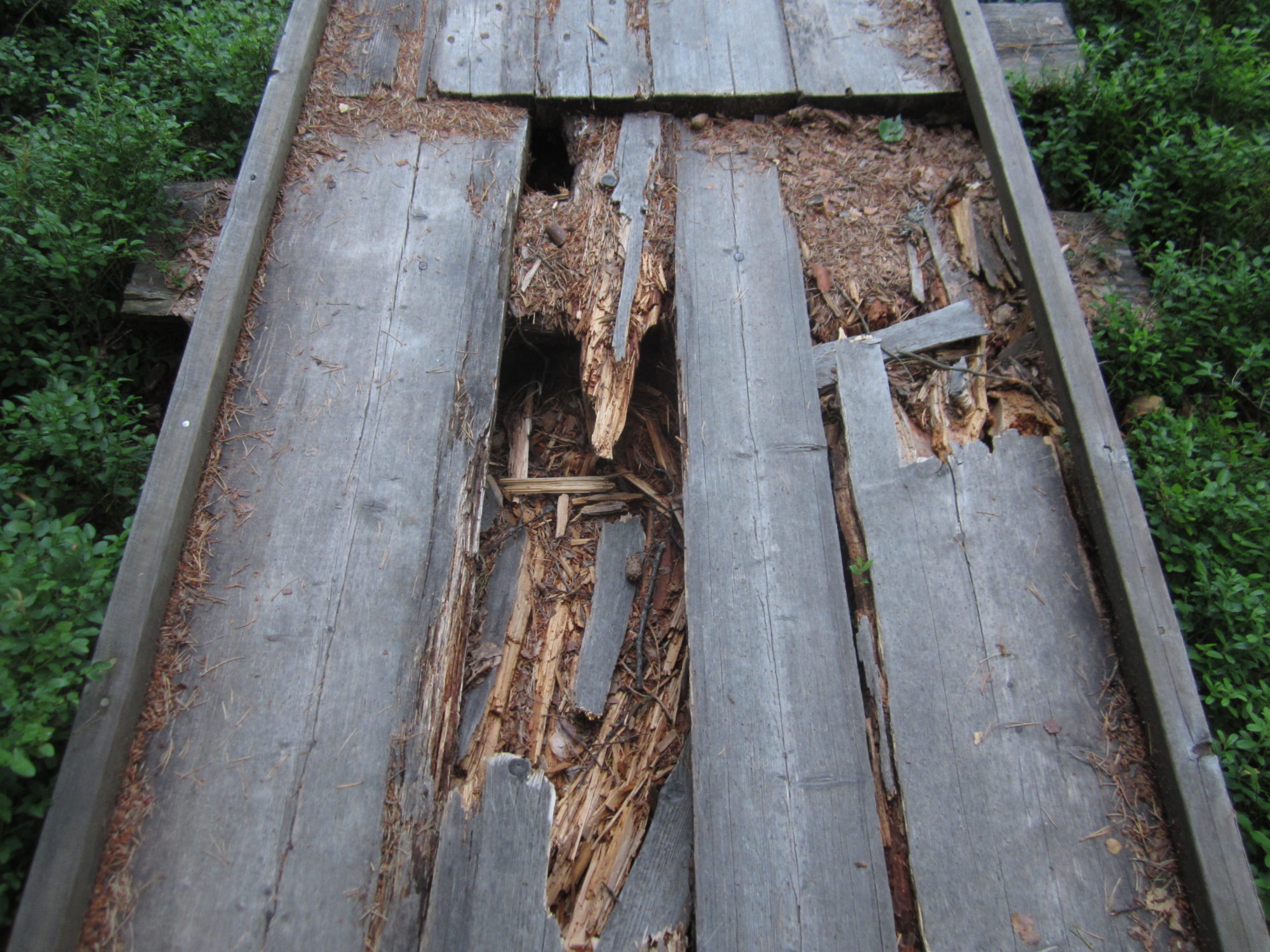 Valokuvaaja: Marita Portin Valokuvaaja: Marita Portin