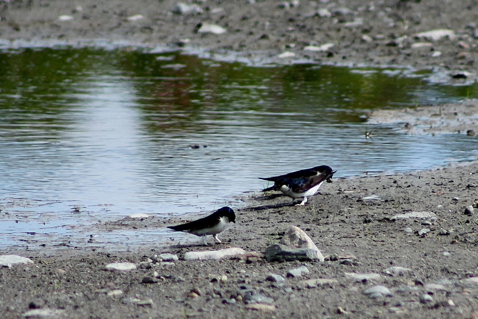 Valokuvaaja: Pirkko Siukonen