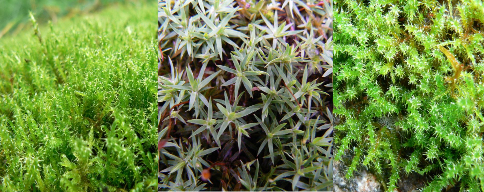 Valokuvaaja: Pekka Heino