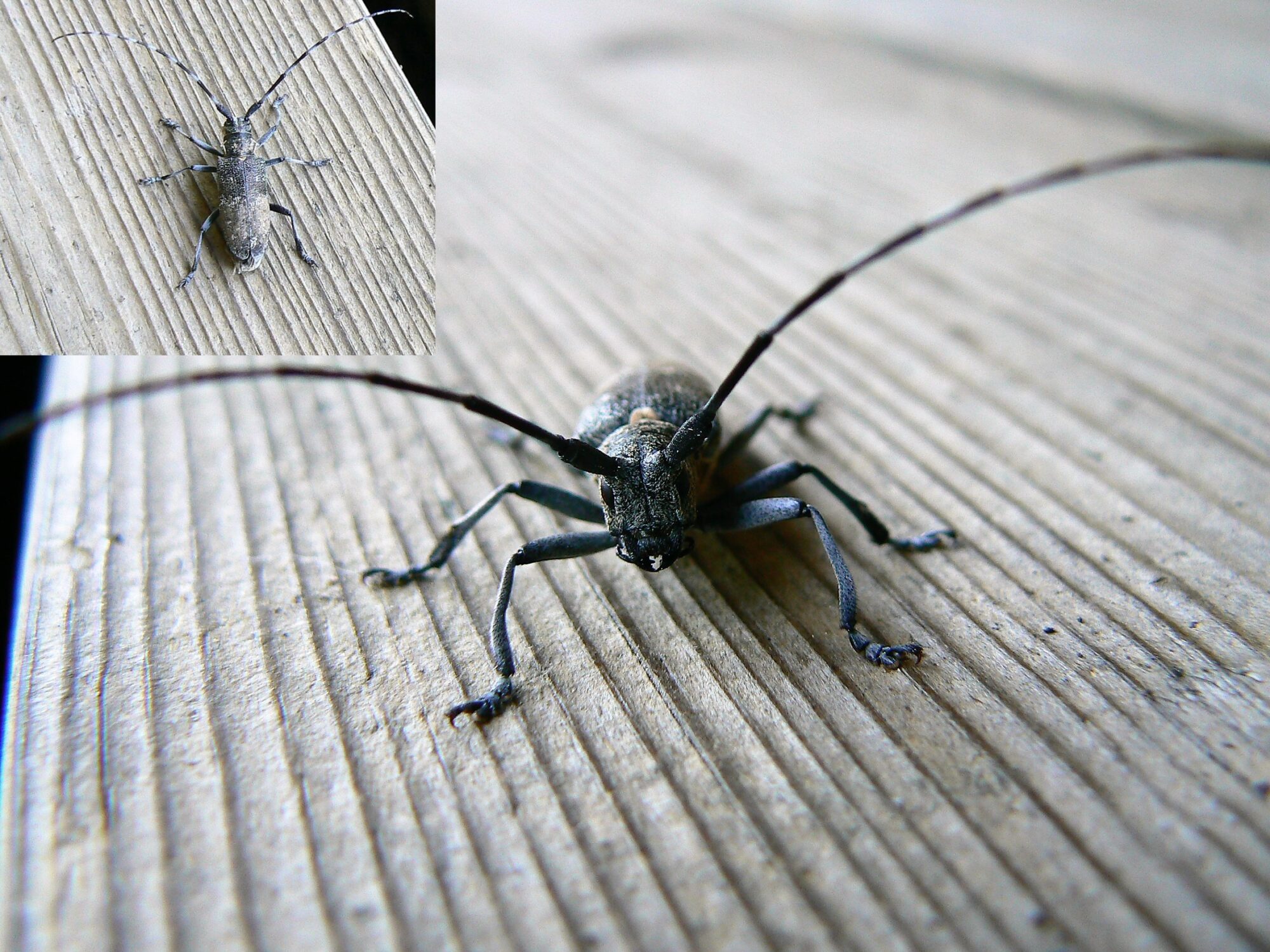 Valokuvaaja: Pekka Heino