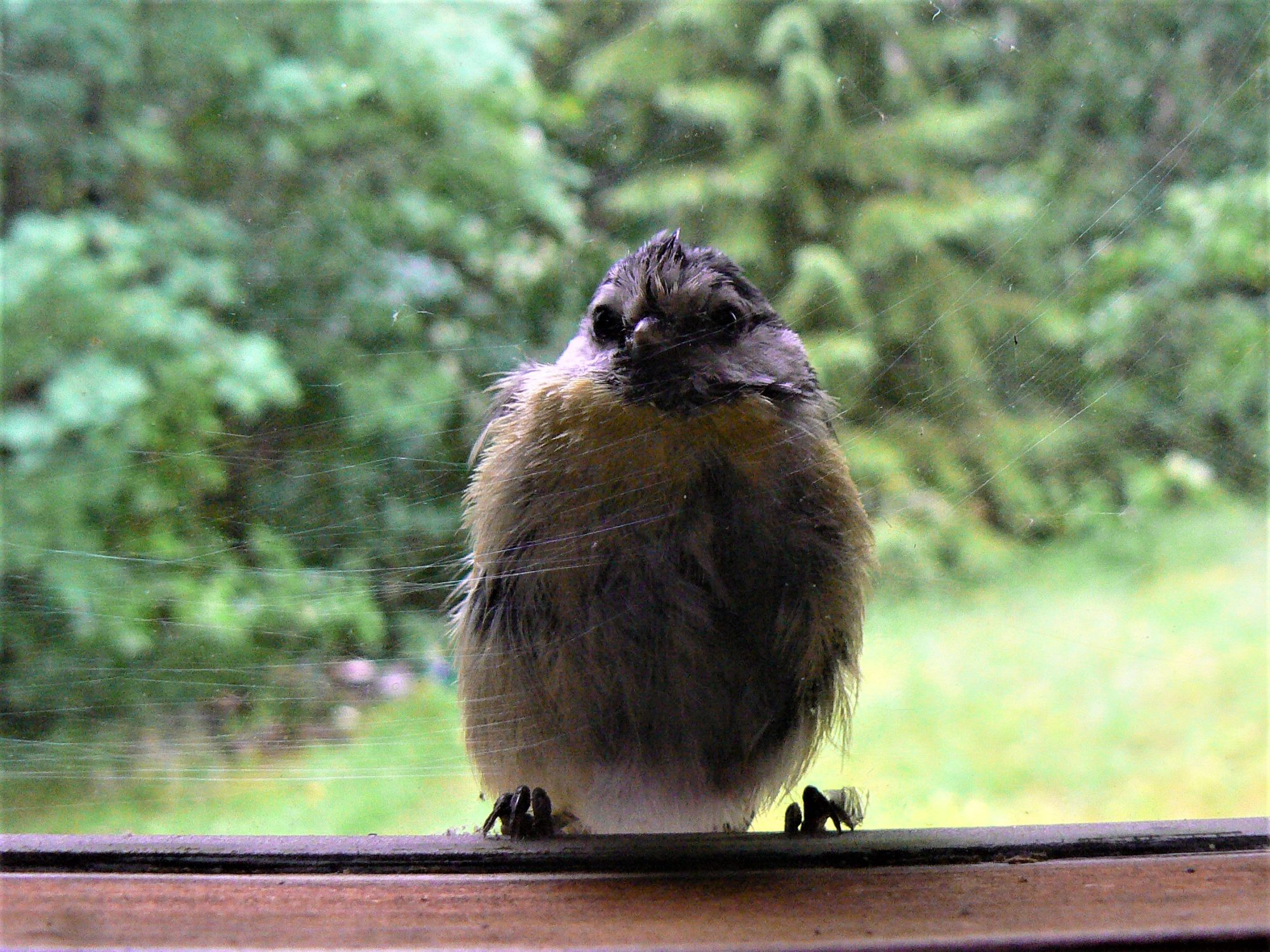 Valokuvaaja: Pekka Heino