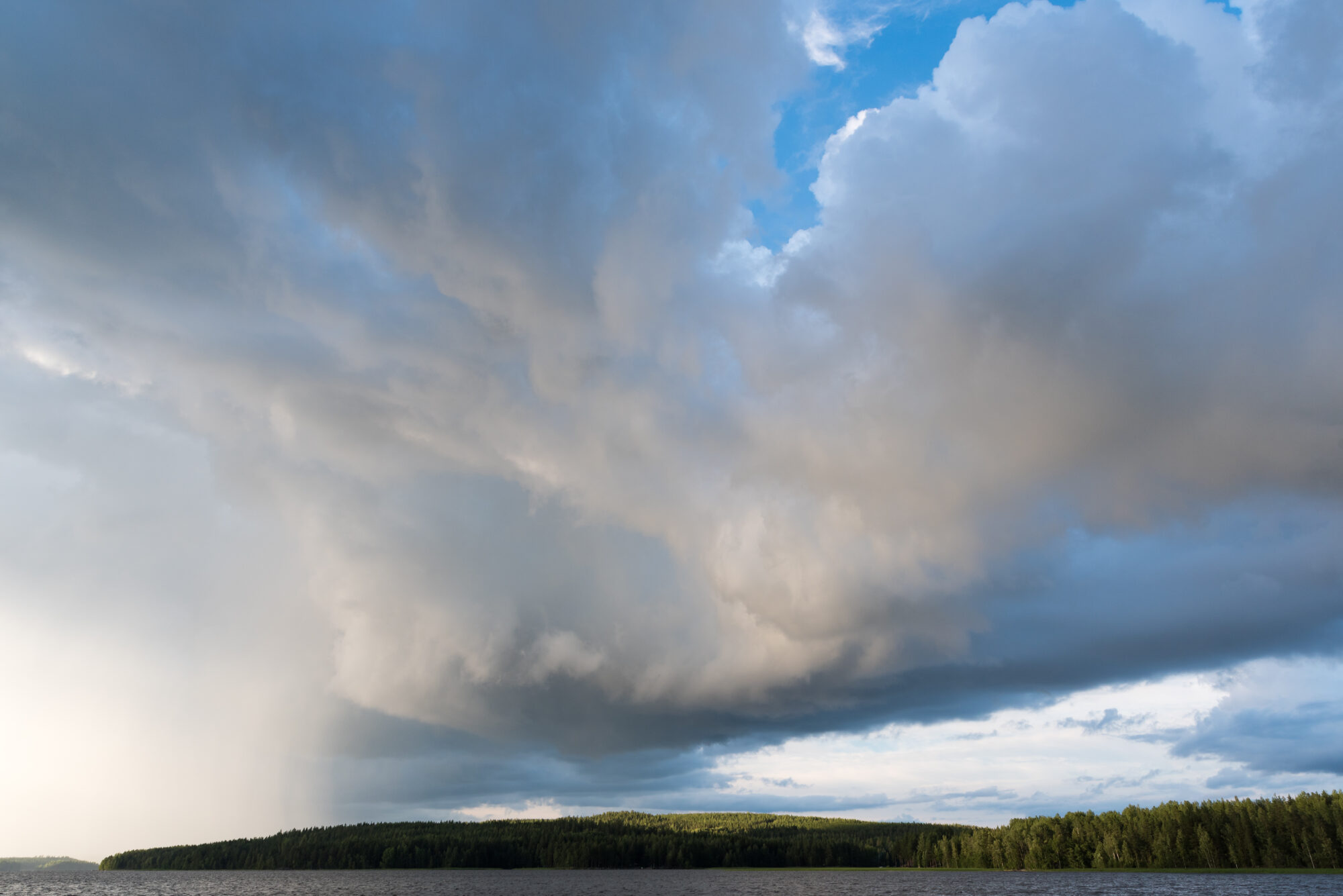 Valokuvaaja: Timo Vuoriainen