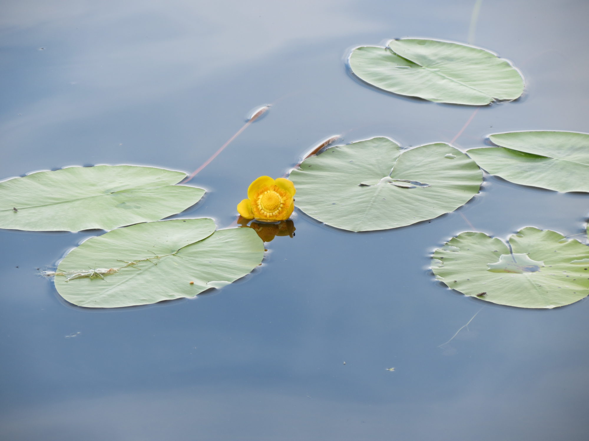 Valokuvaaja: Elina Vuorimaa-Laukkanen Valokuvaaja: Elina Vuorimaa-Laukkanen