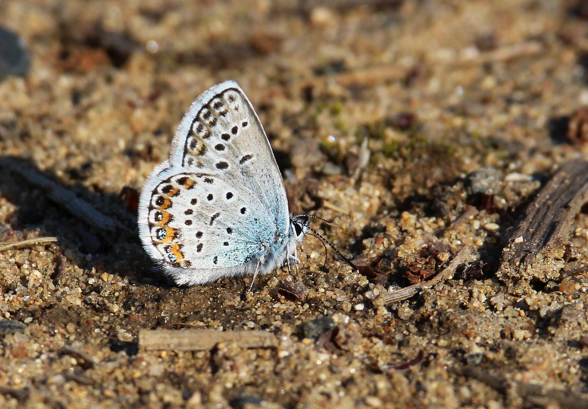 Valokuvaaja: Jaana Saarelainen