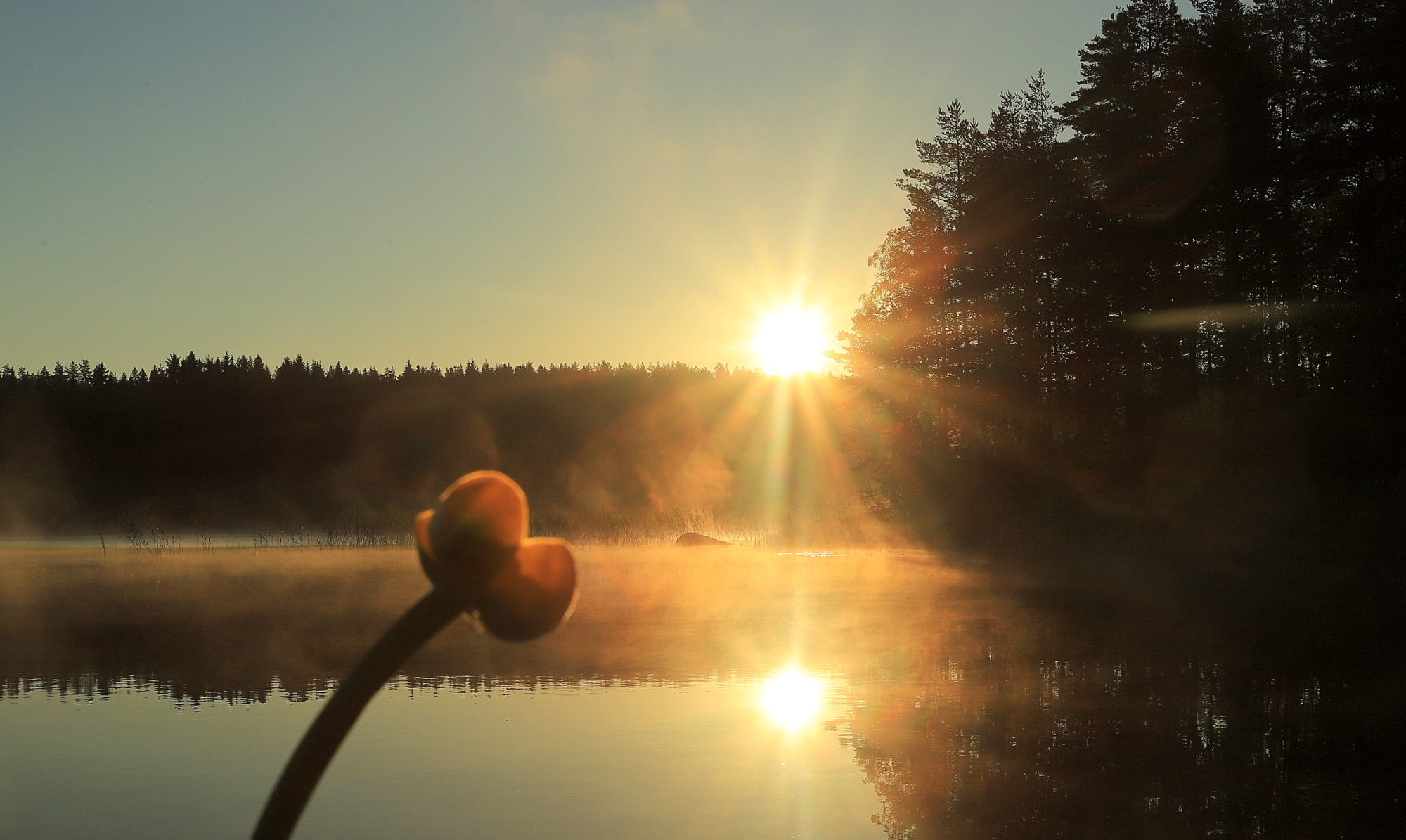 Valokuvaaja: sirpa jyske