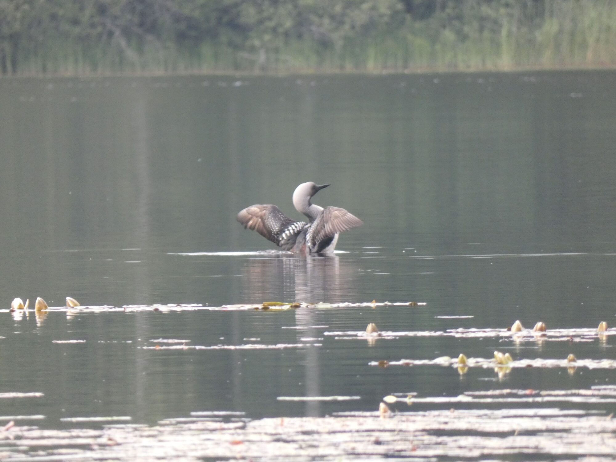 Valokuvaaja: Eero Peltonen