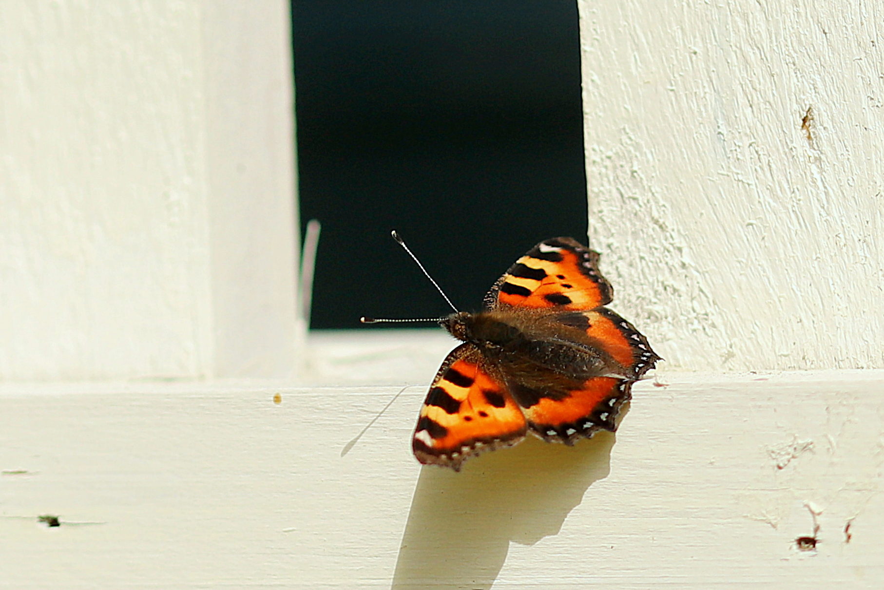 Valokuvaaja: sirpa jyske