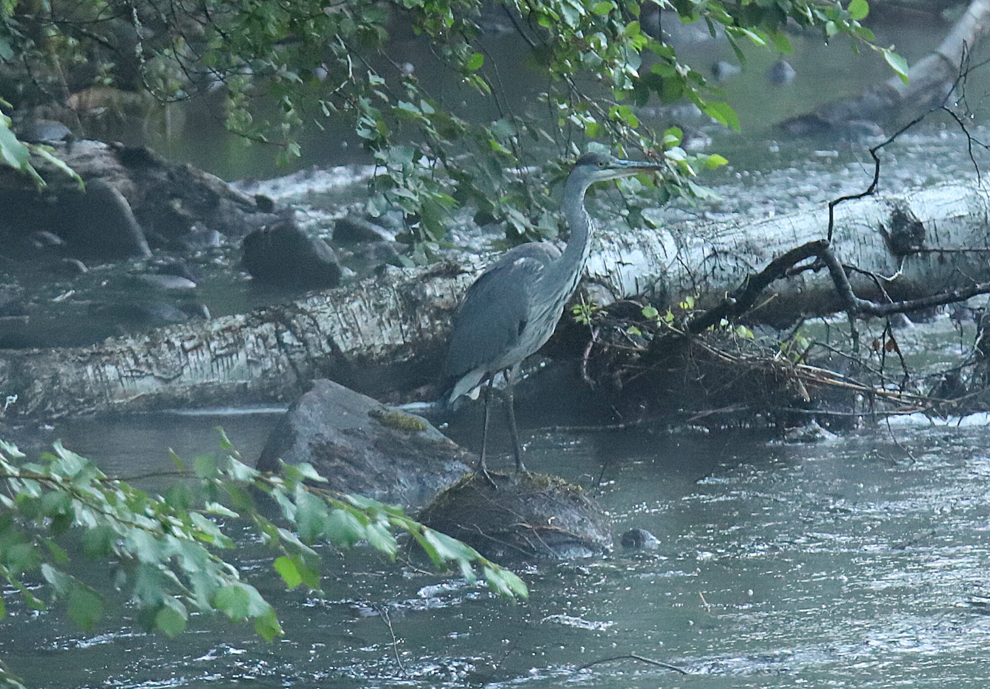 Valokuvaaja: sirpa jyske