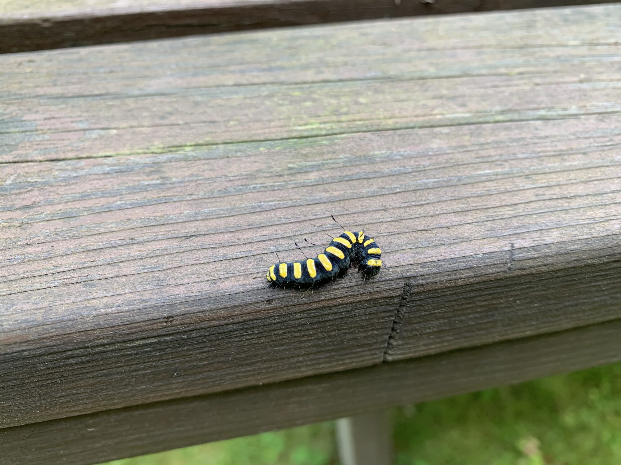 Valokuvaaja: Matti Kaskela