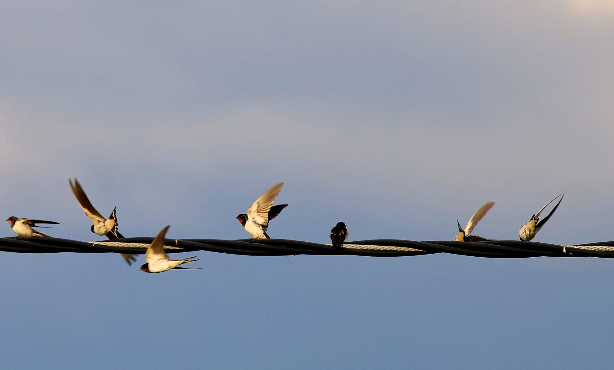 Valokuvaaja: sirpa jyske