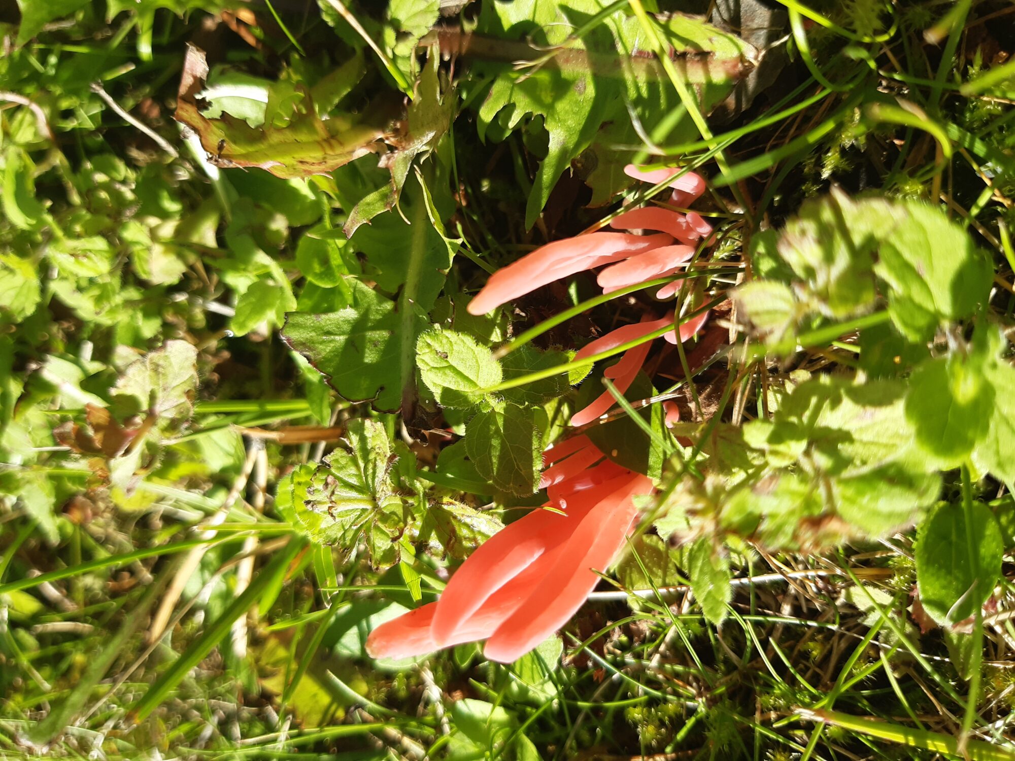 Valokuvaaja: Marianna Jämsä