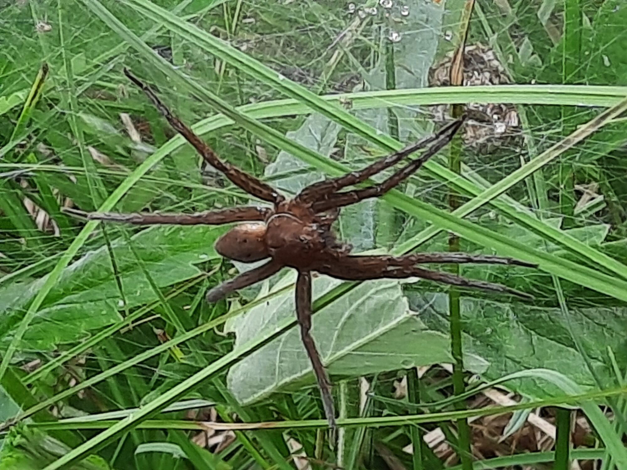 Valokuvaaja: Johanna
