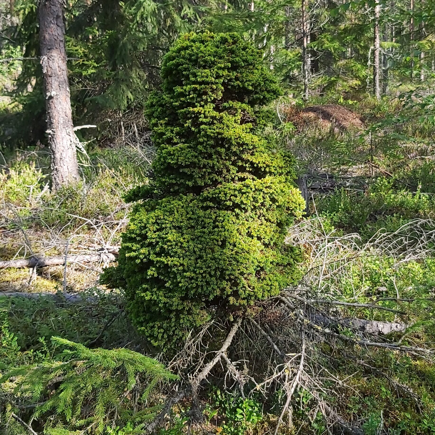 Valokuvaaja: Kaisa Marila