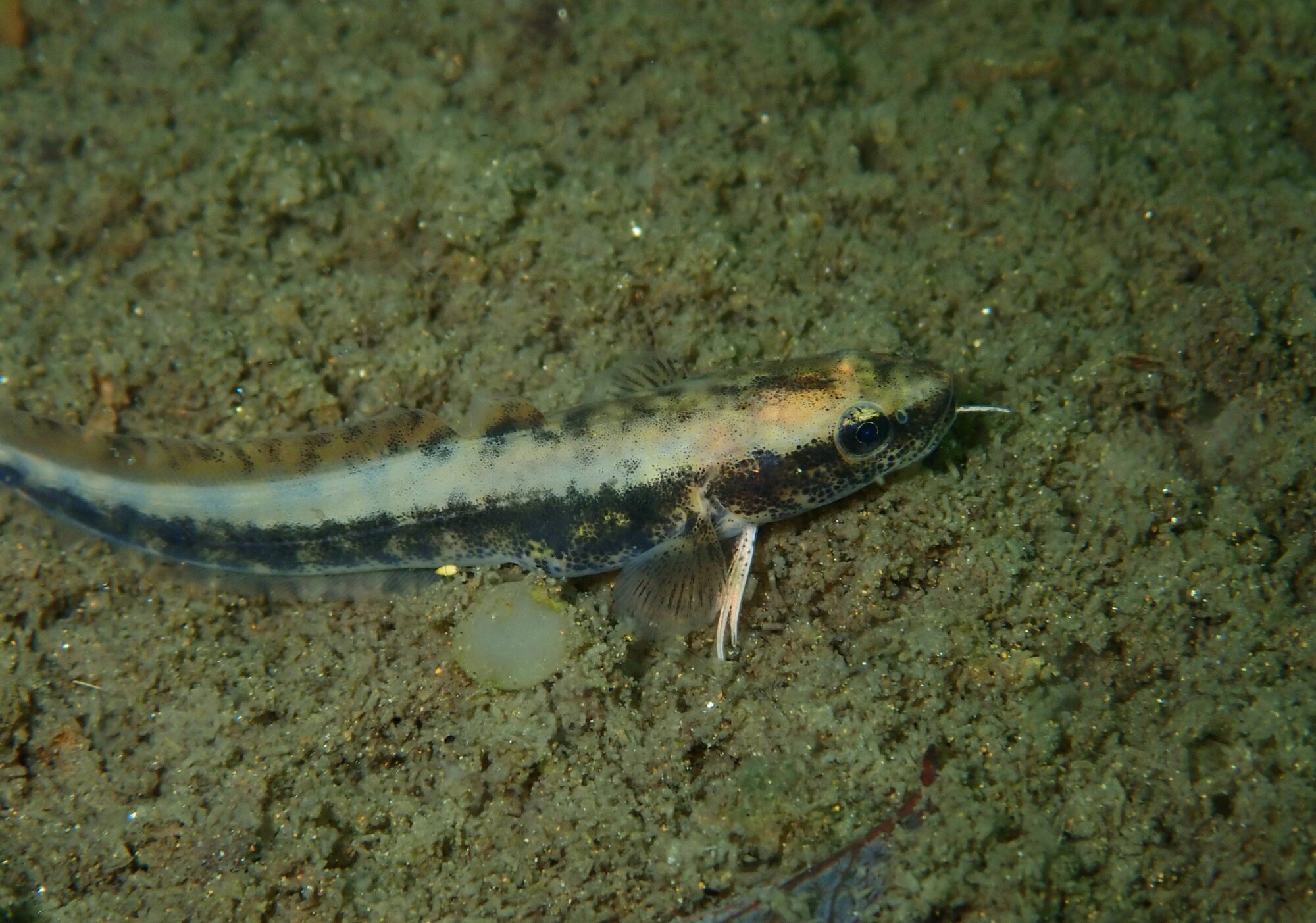 Valokuvaaja: Soili Vesanen