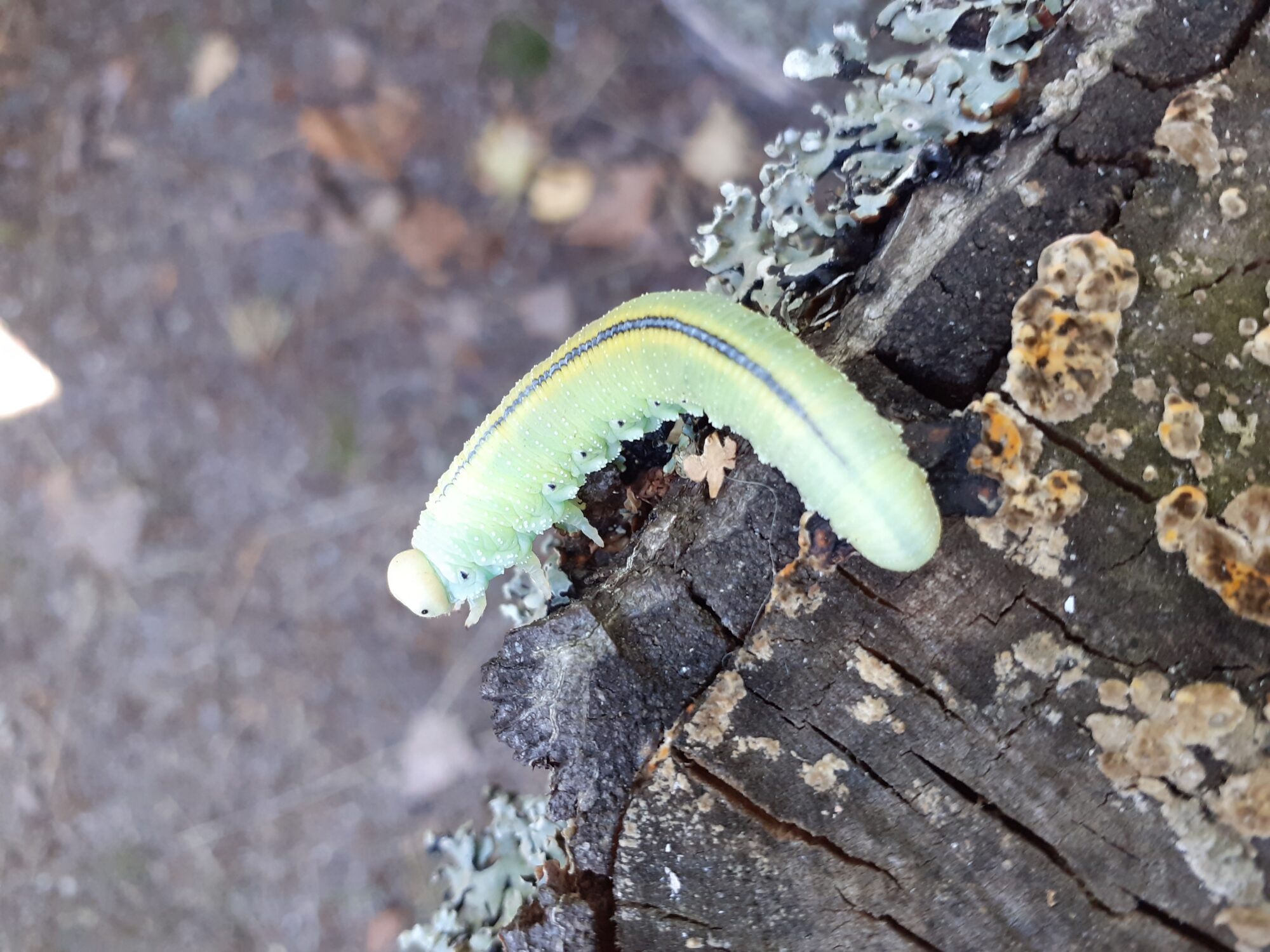 Valokuvaaja: Sirpa Repo