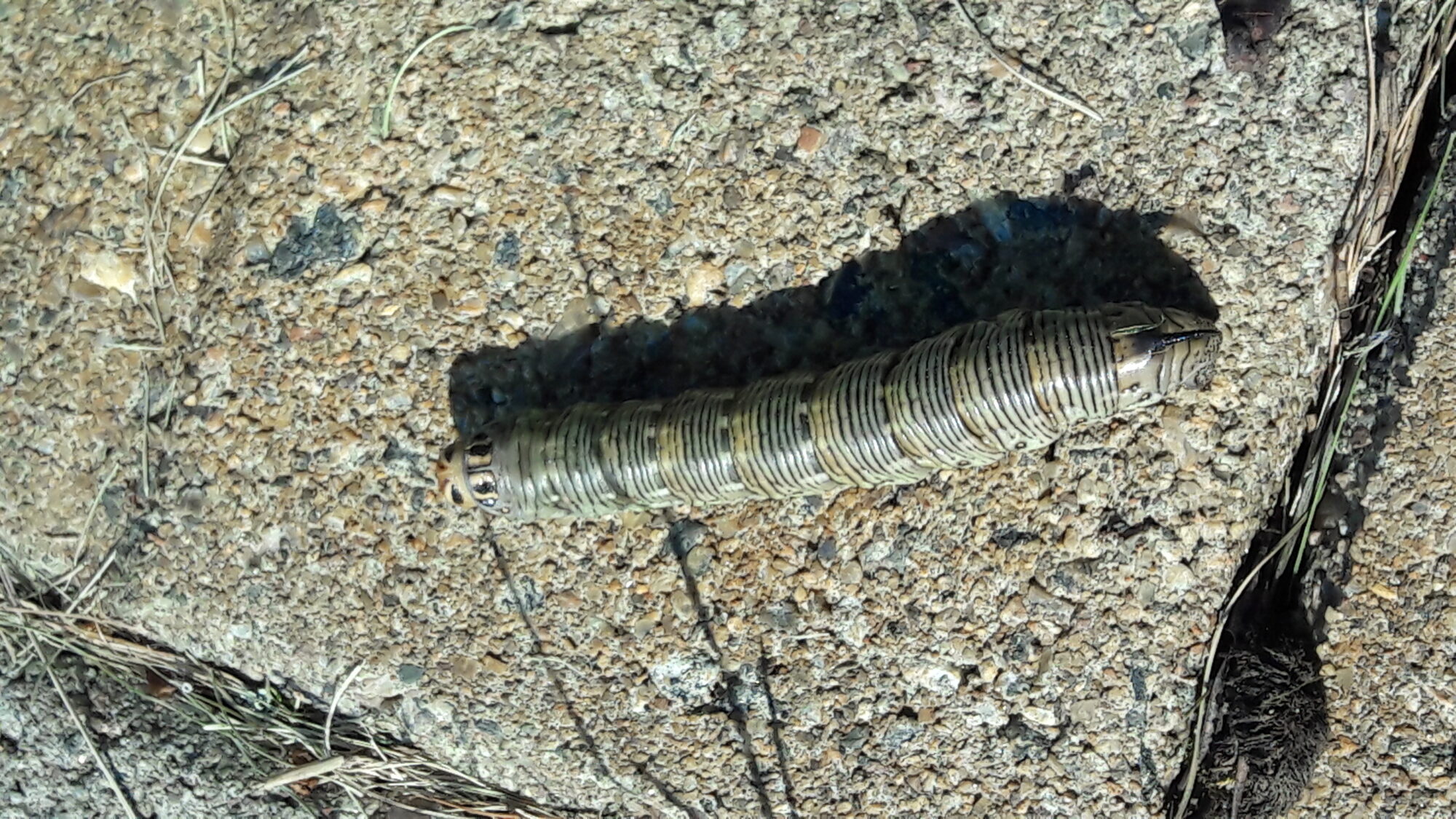 Valokuvaaja: Maritta Kinnunen