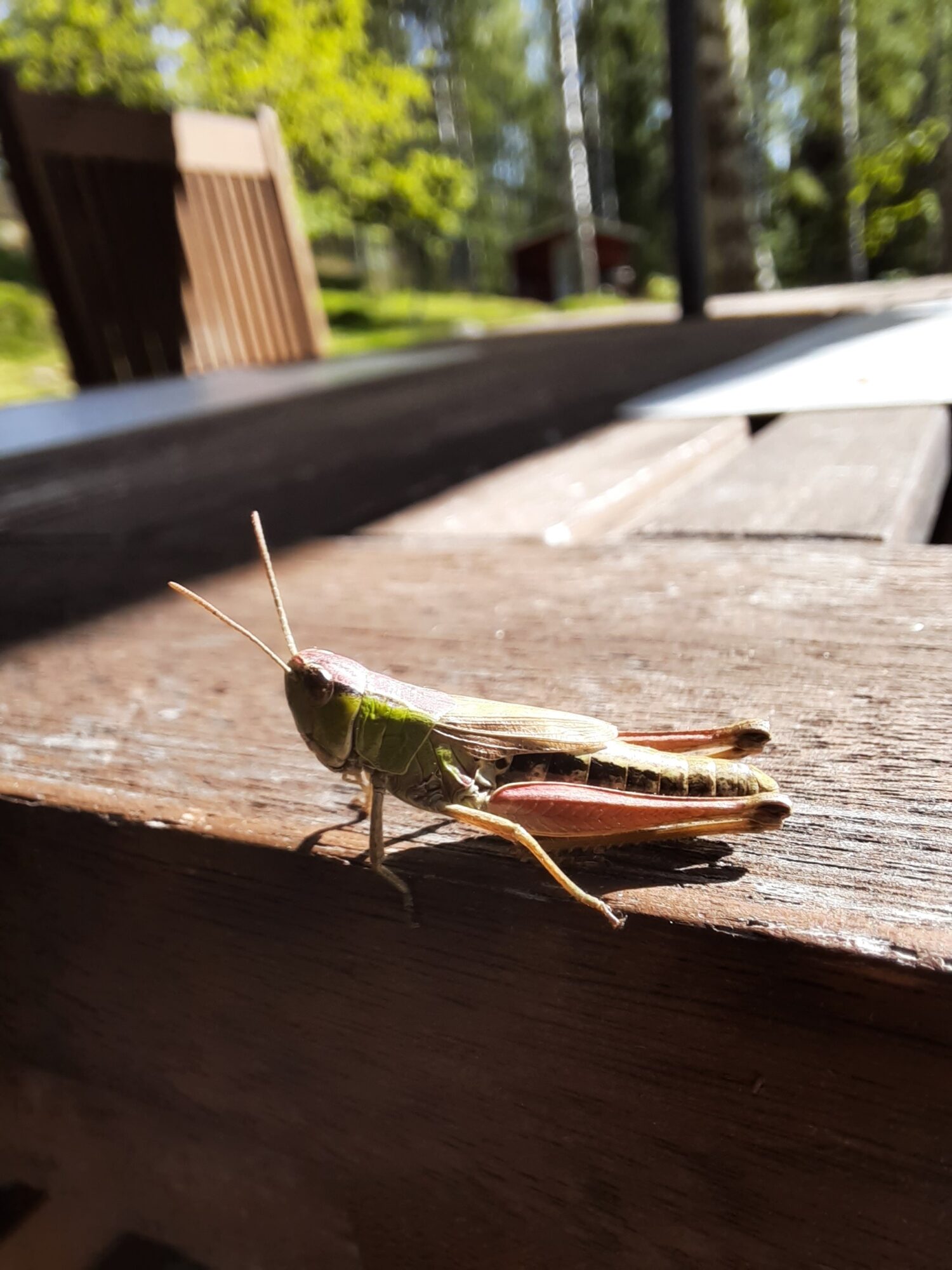 Valokuvaaja: Seija Kalenius