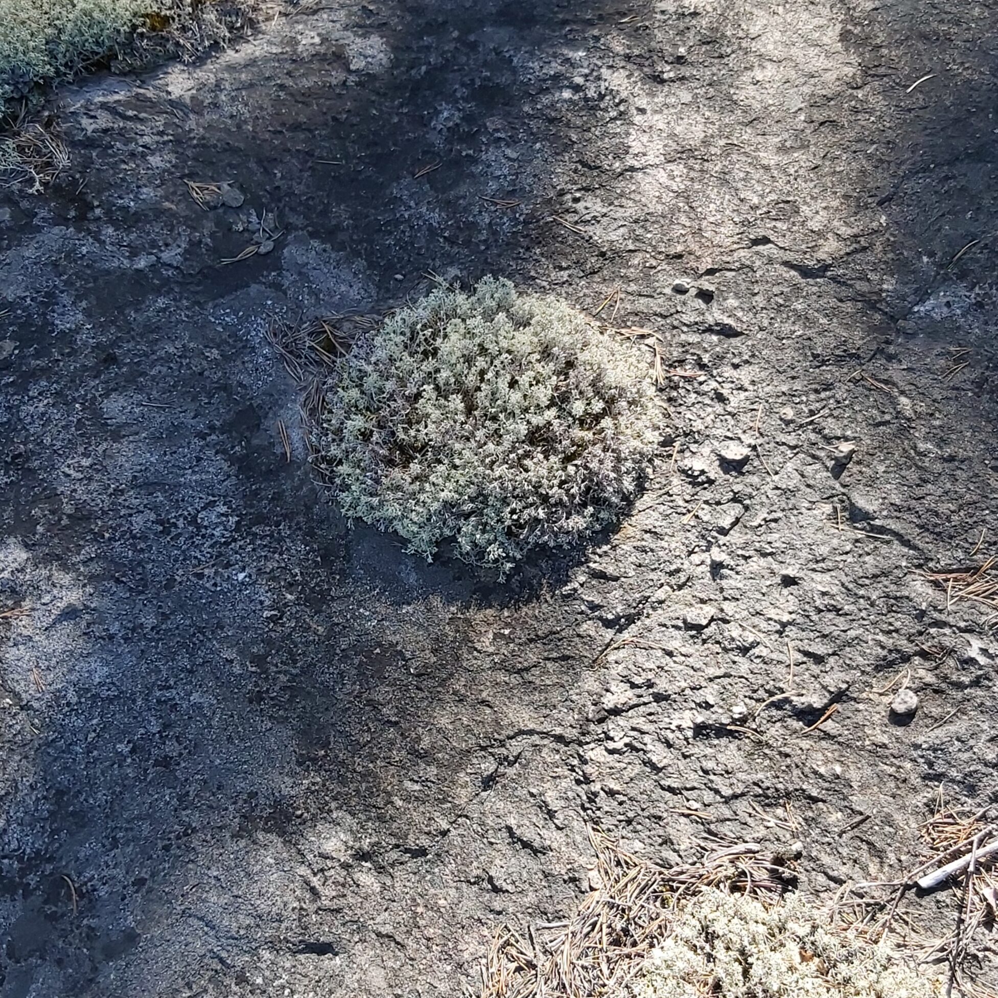 Valokuvaaja: Kaisa Marila