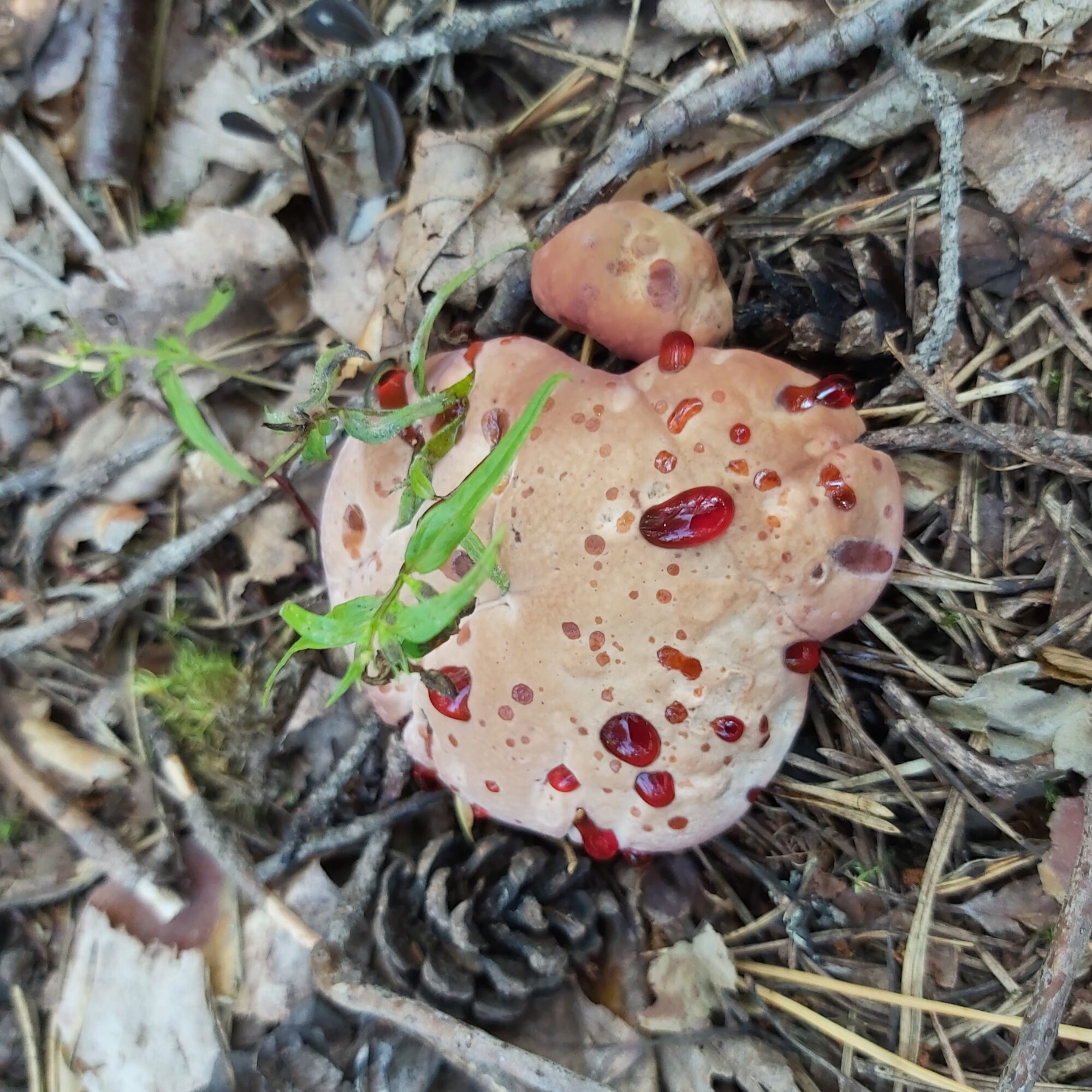 Valokuvaaja: Kaisa Marila