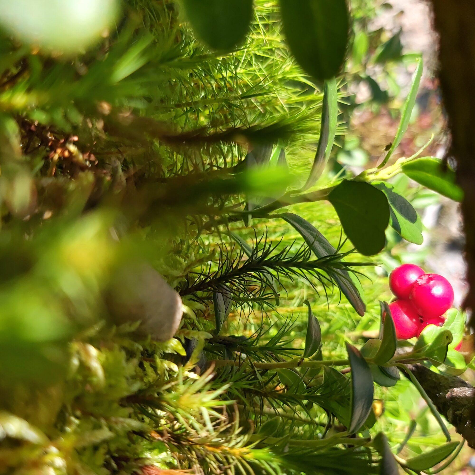 Valokuvaaja: Kaisa Marila