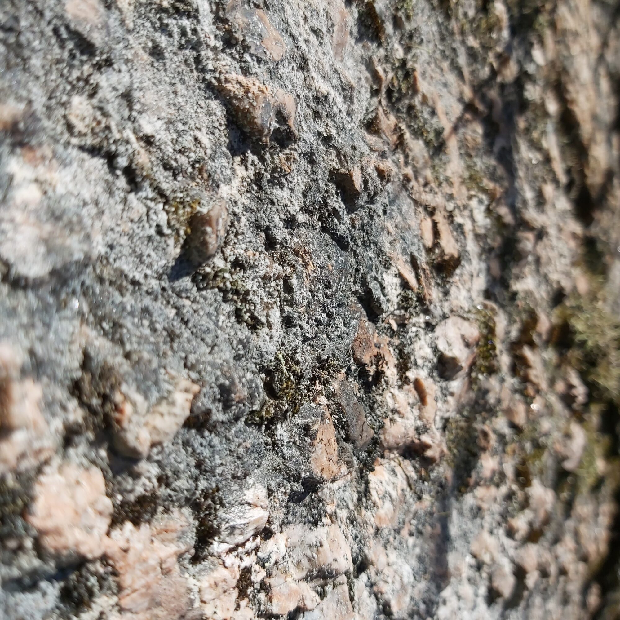 Valokuvaaja: Kaisa Marila