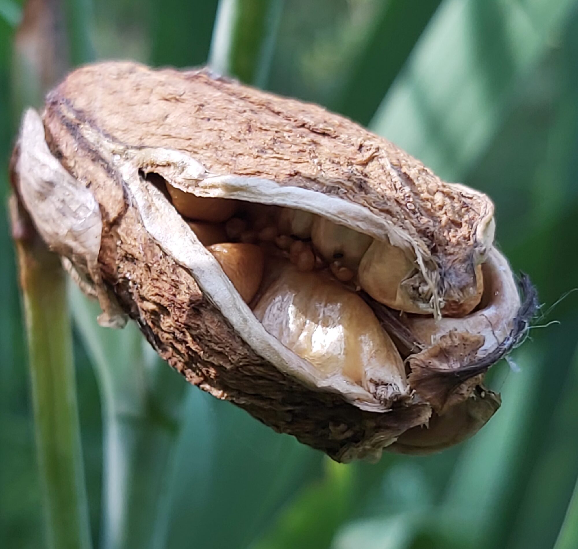 Valokuvaaja: Kaisa Marila