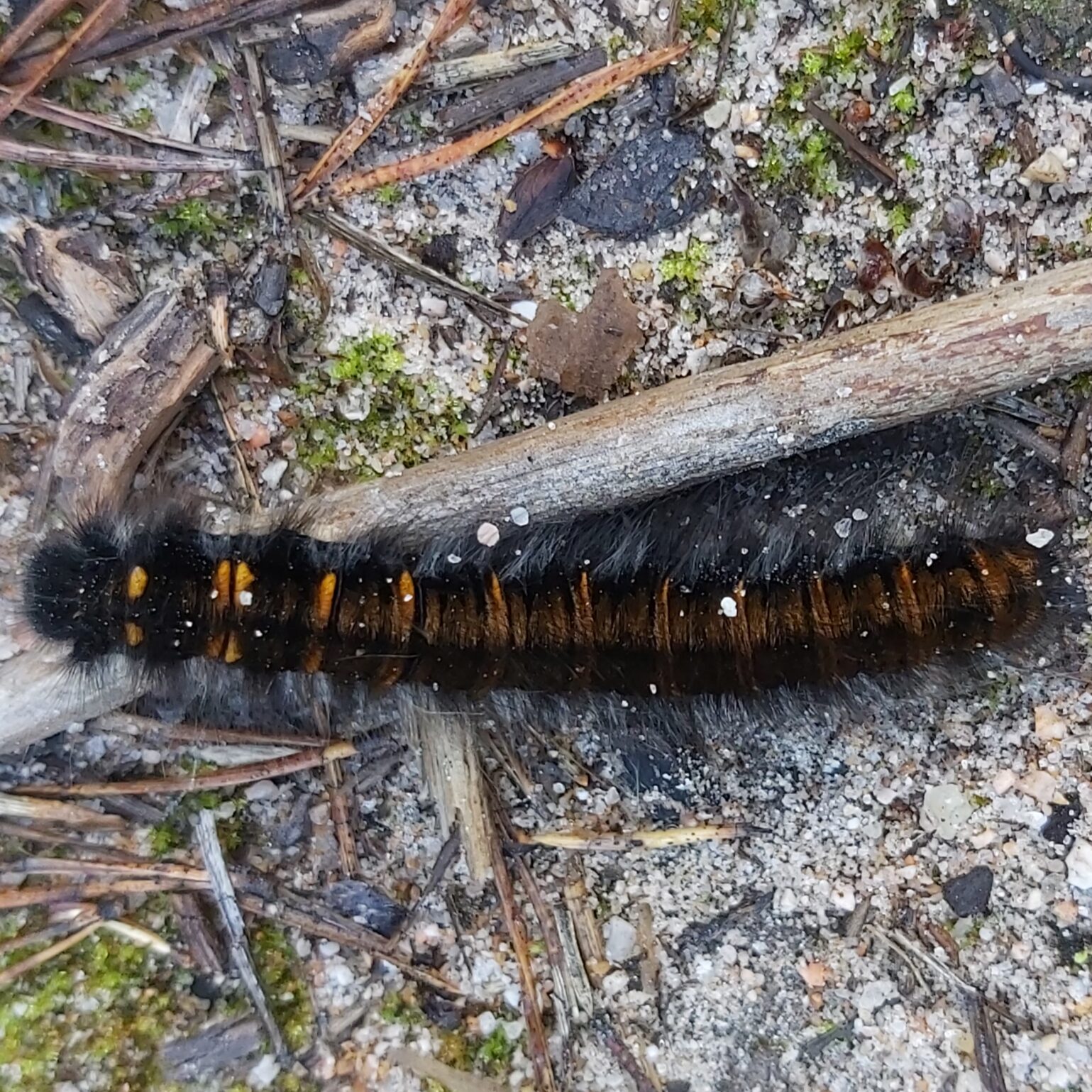 Valokuvaaja: Kaisa Marila