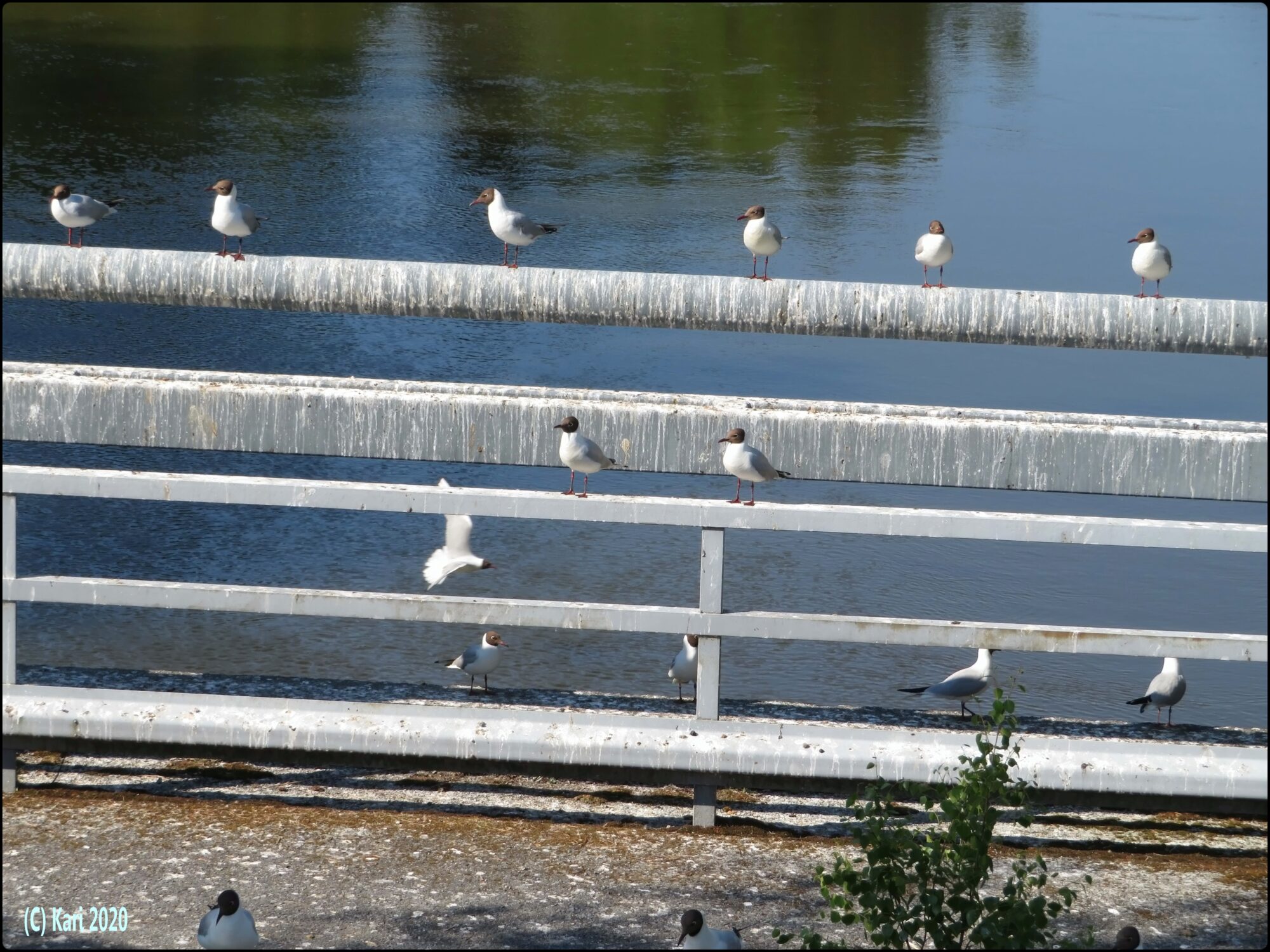 Valokuvaaja: Kari Saarinen