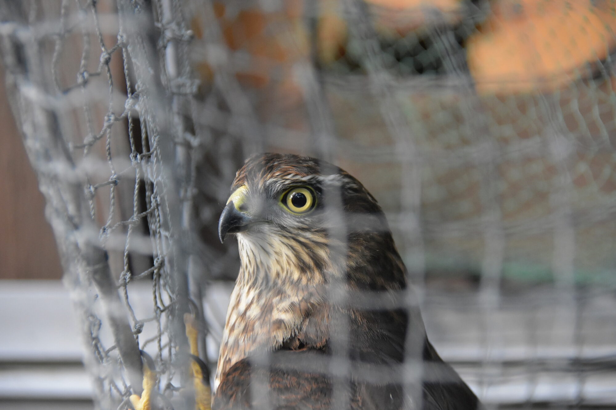 Valokuvaaja: Jouko Etelä