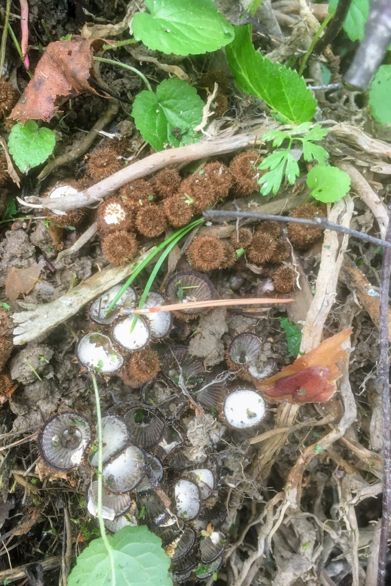 Valokuvaaja: Tiina Thil Valokuvaaja: Tiina Thil