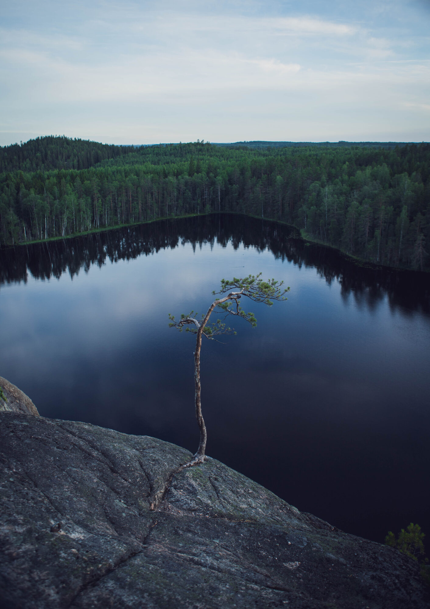 Valokuvaaja: Anssi Hypén