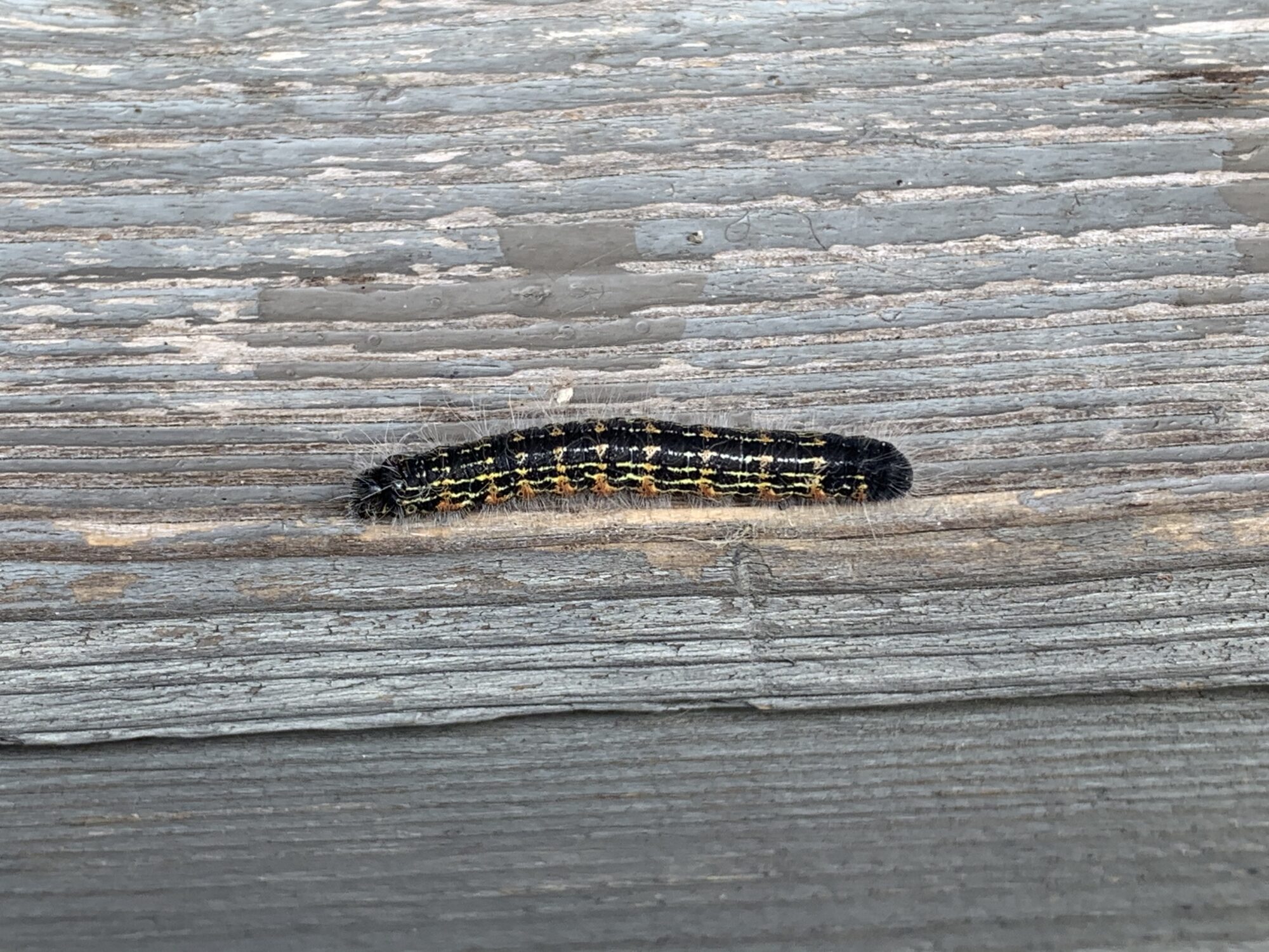 Valokuvaaja: Matti Kaskela