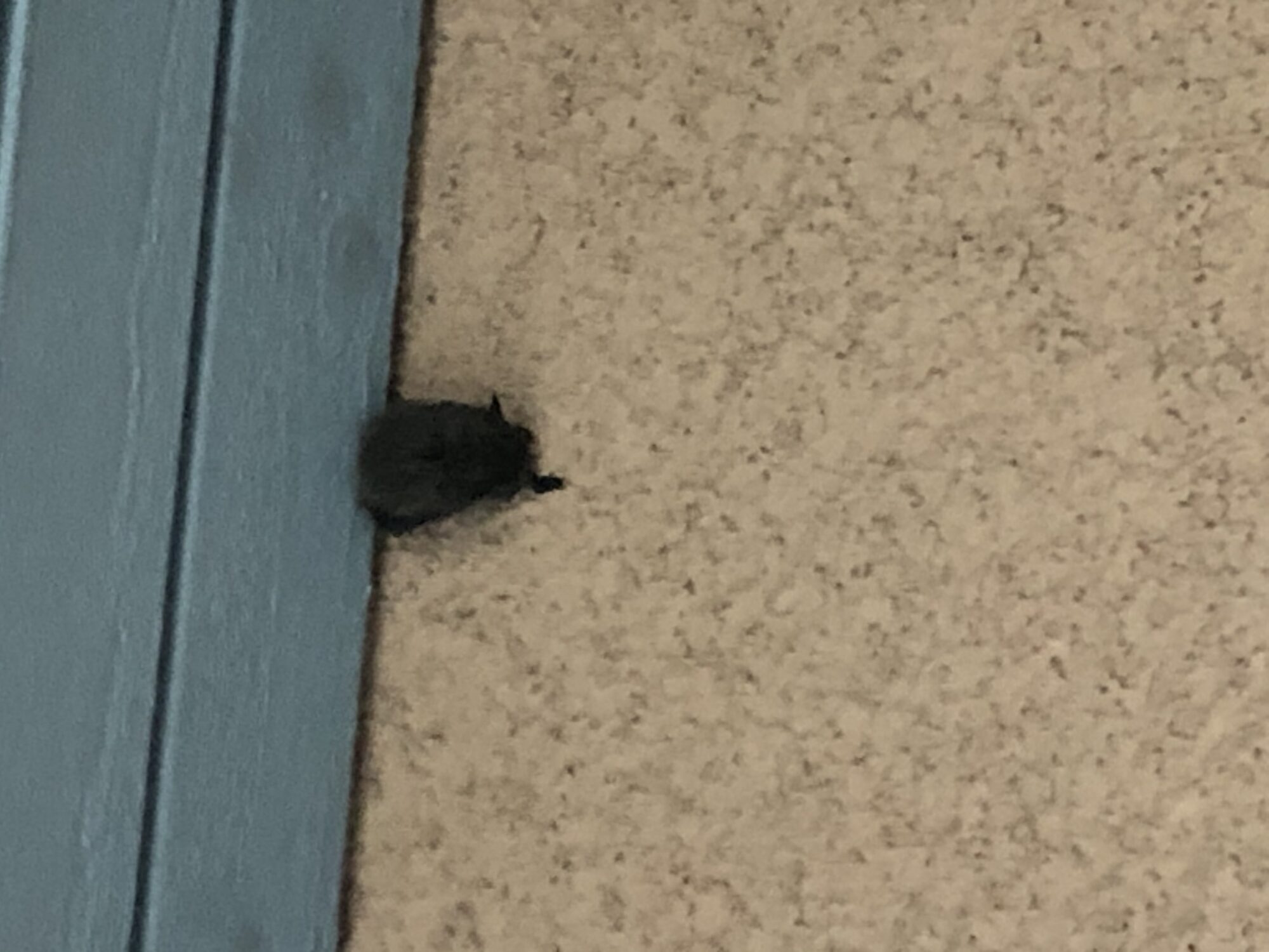 Valokuvaaja: Liisa Ranta