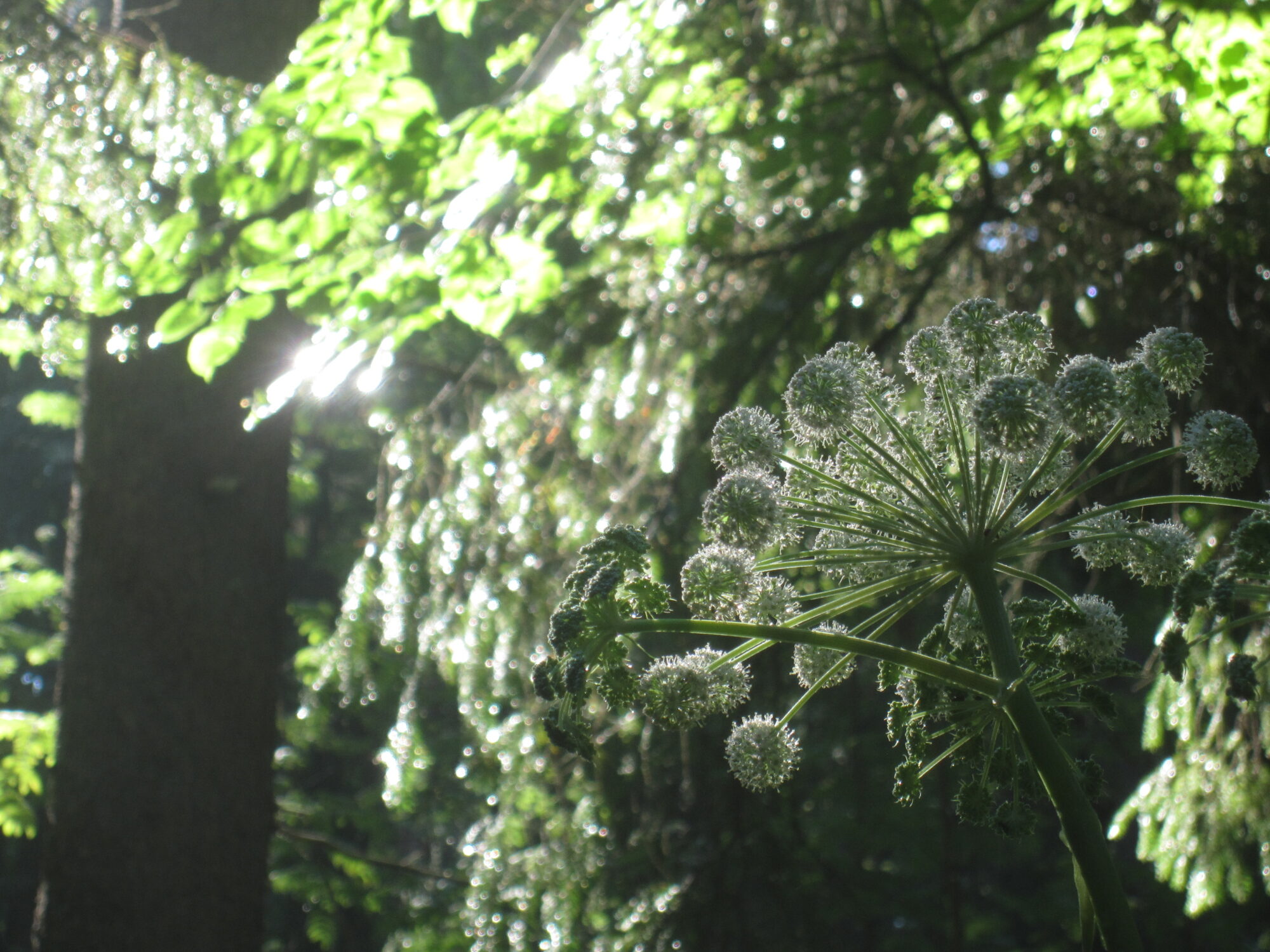 Valokuvaaja: Marita Portin