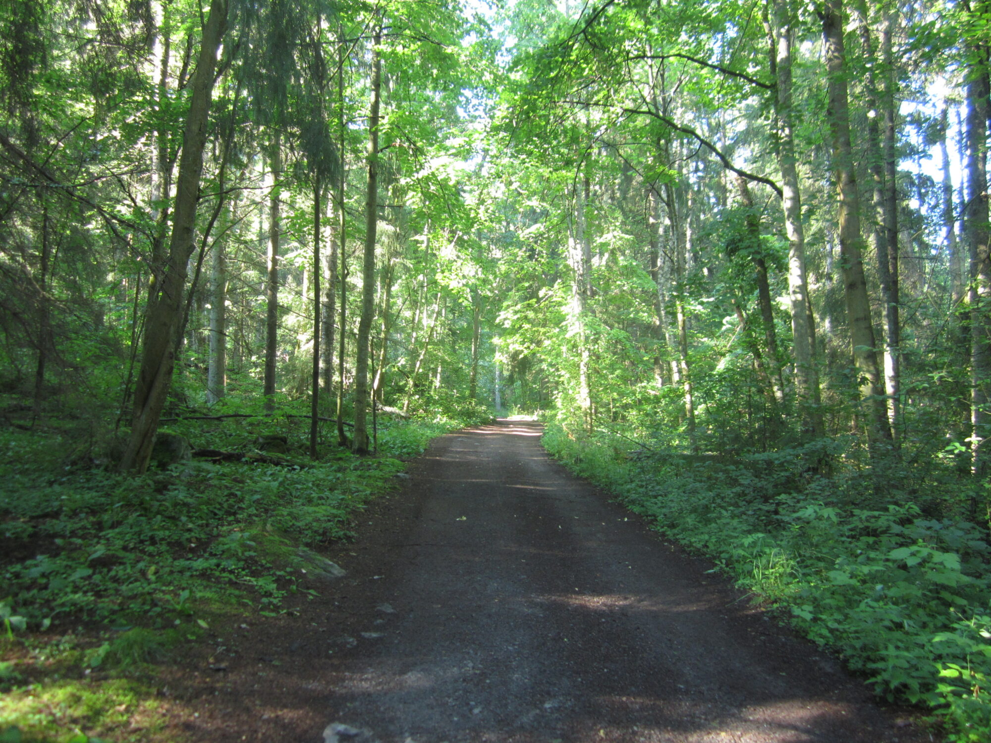 Valokuvaaja: Marita Portin