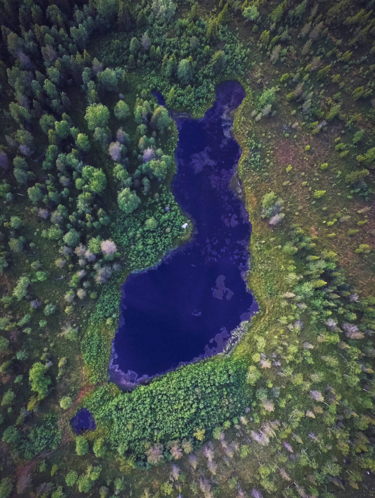 Valokuvaaja: Anssi Hypén