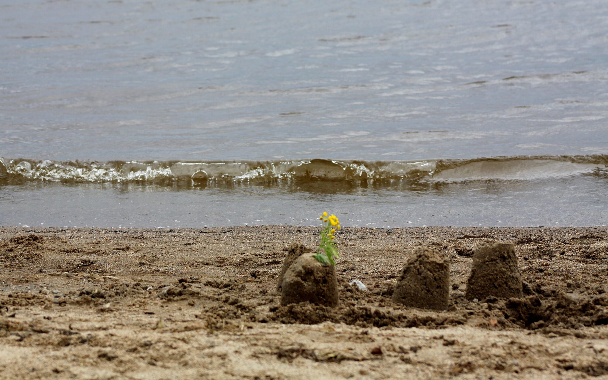 Valokuvaaja: Pirkko Siukonen