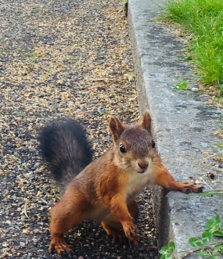 Valokuvaaja: Sinikukka Auvinen