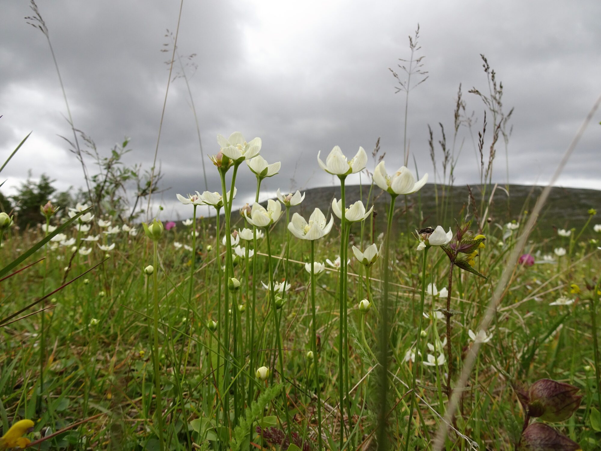 Valokuvaaja: Irja Lehtinen