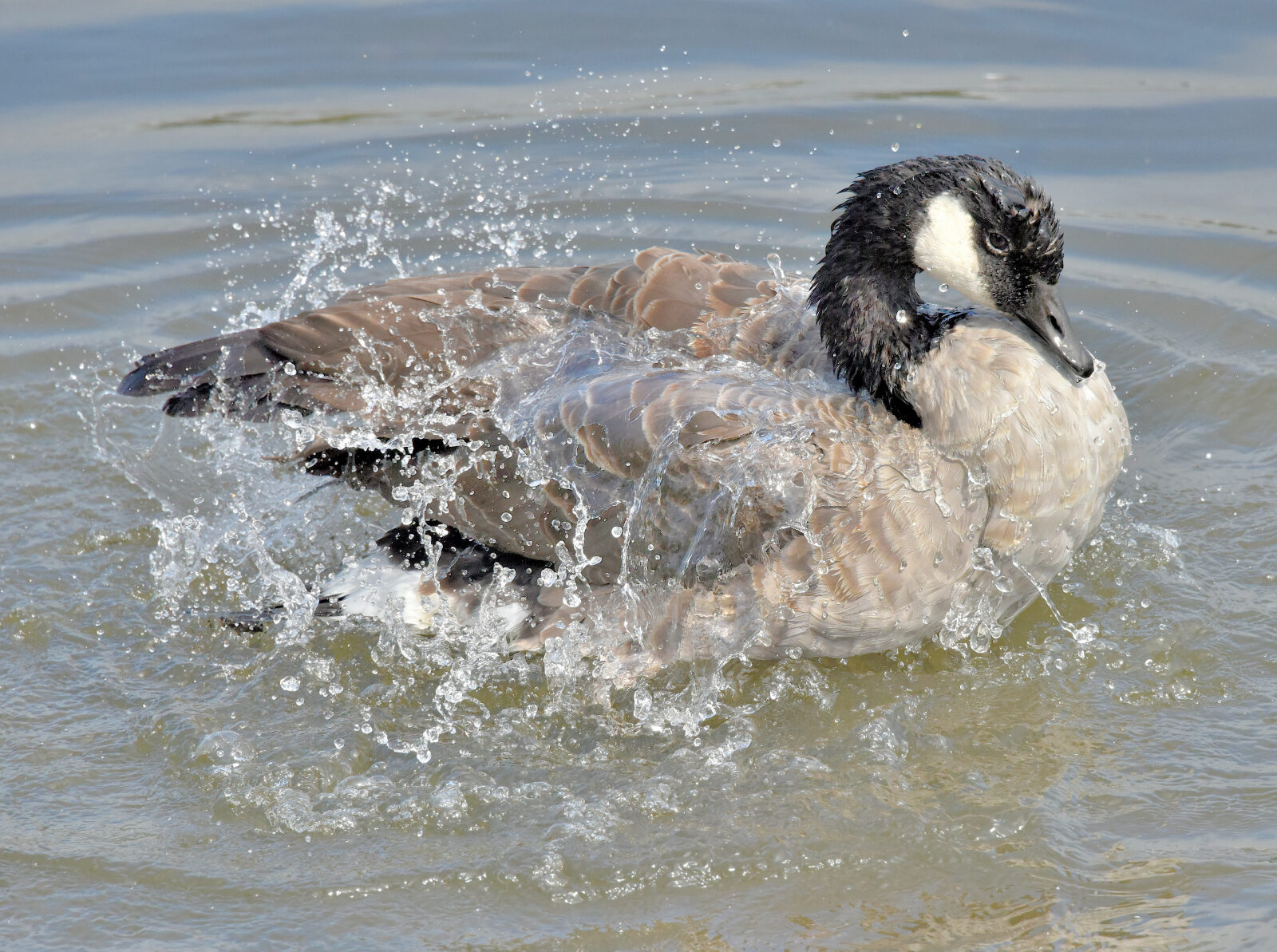 Valokuvaaja: Reijo Juurinen