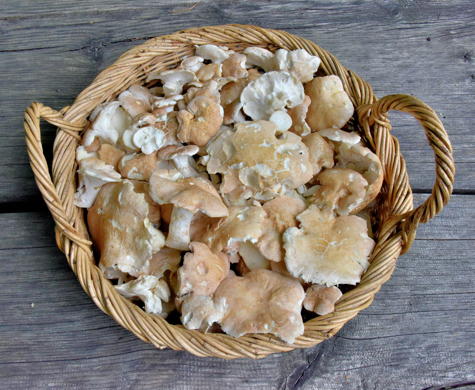 Valokuvaaja: Reijo Juurinen