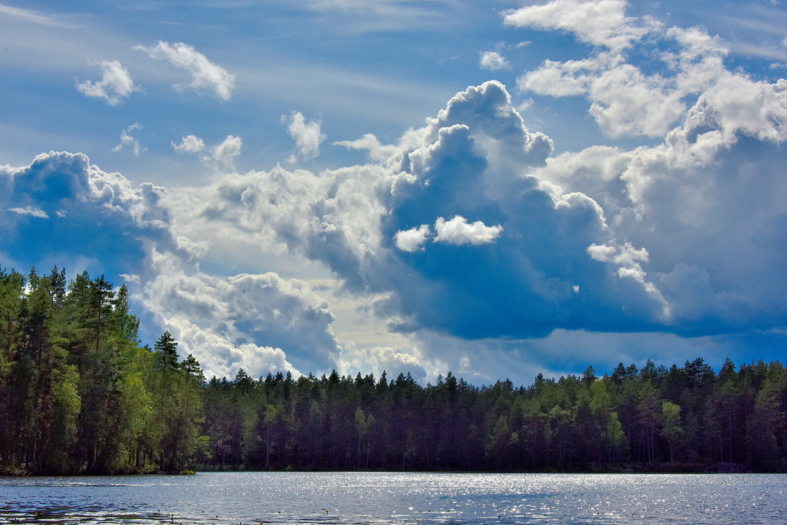 Valokuvaaja: Reijo Juurinen