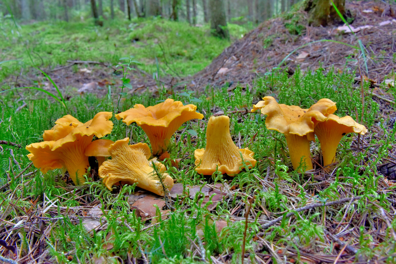 Valokuvaaja: Reijo Juurinen