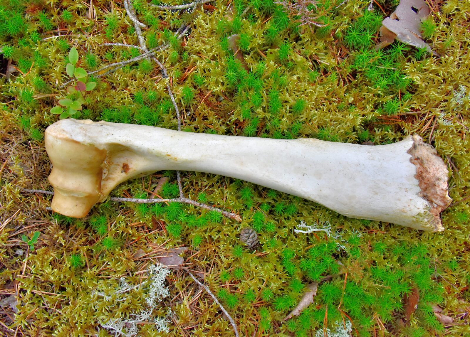 Valokuvaaja: Reijo Juurinen