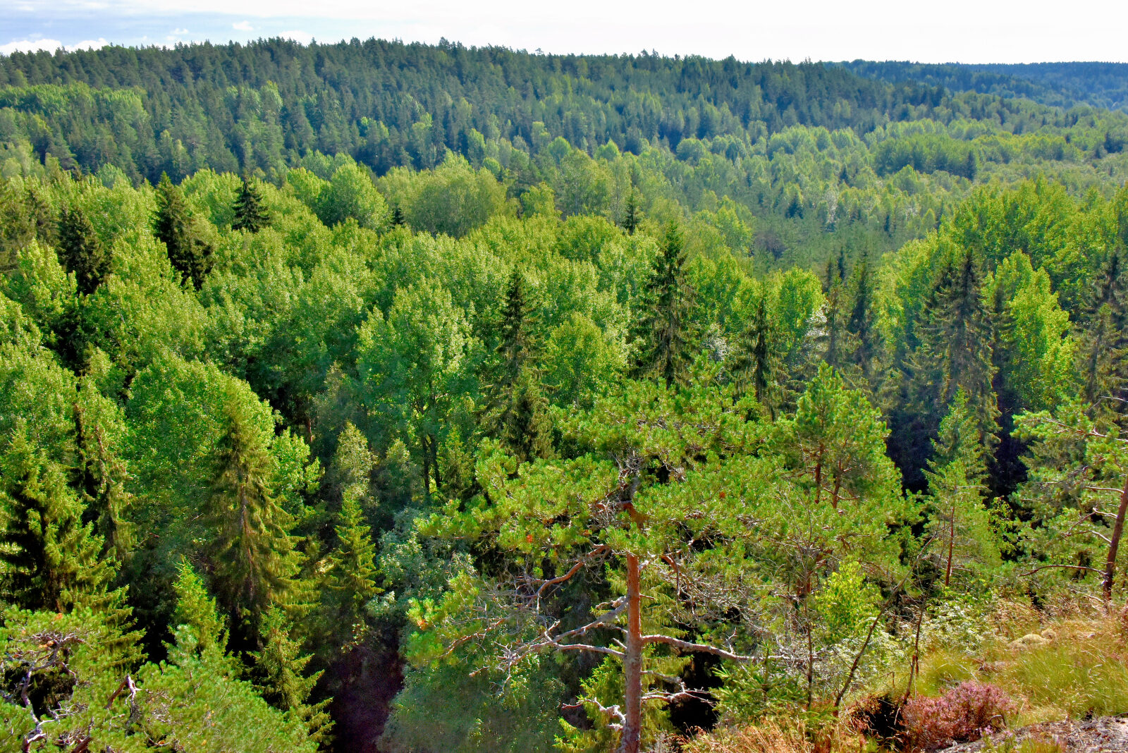Valokuvaaja: Reijo Juurinen