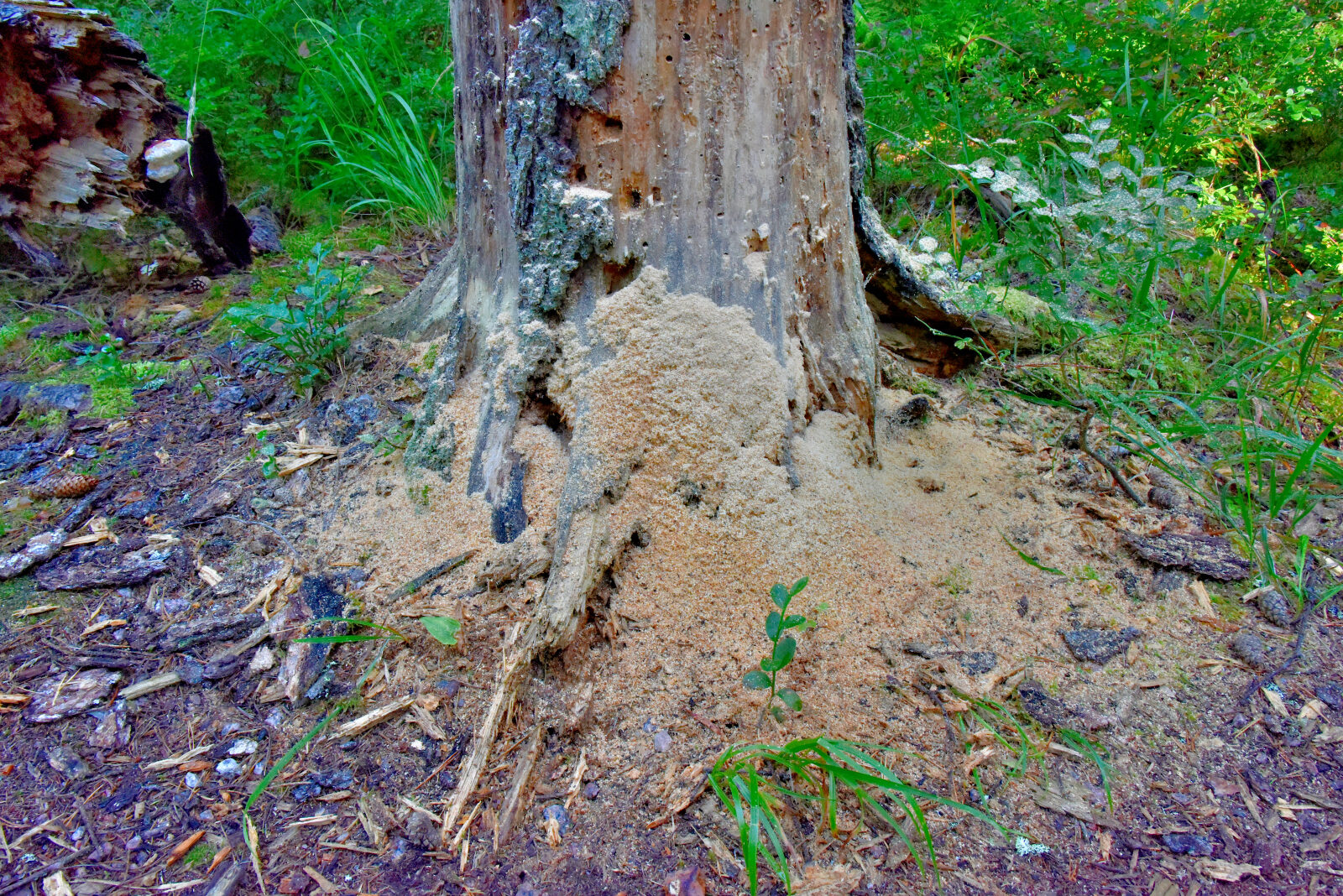 Valokuvaaja: Reijo Juurinen