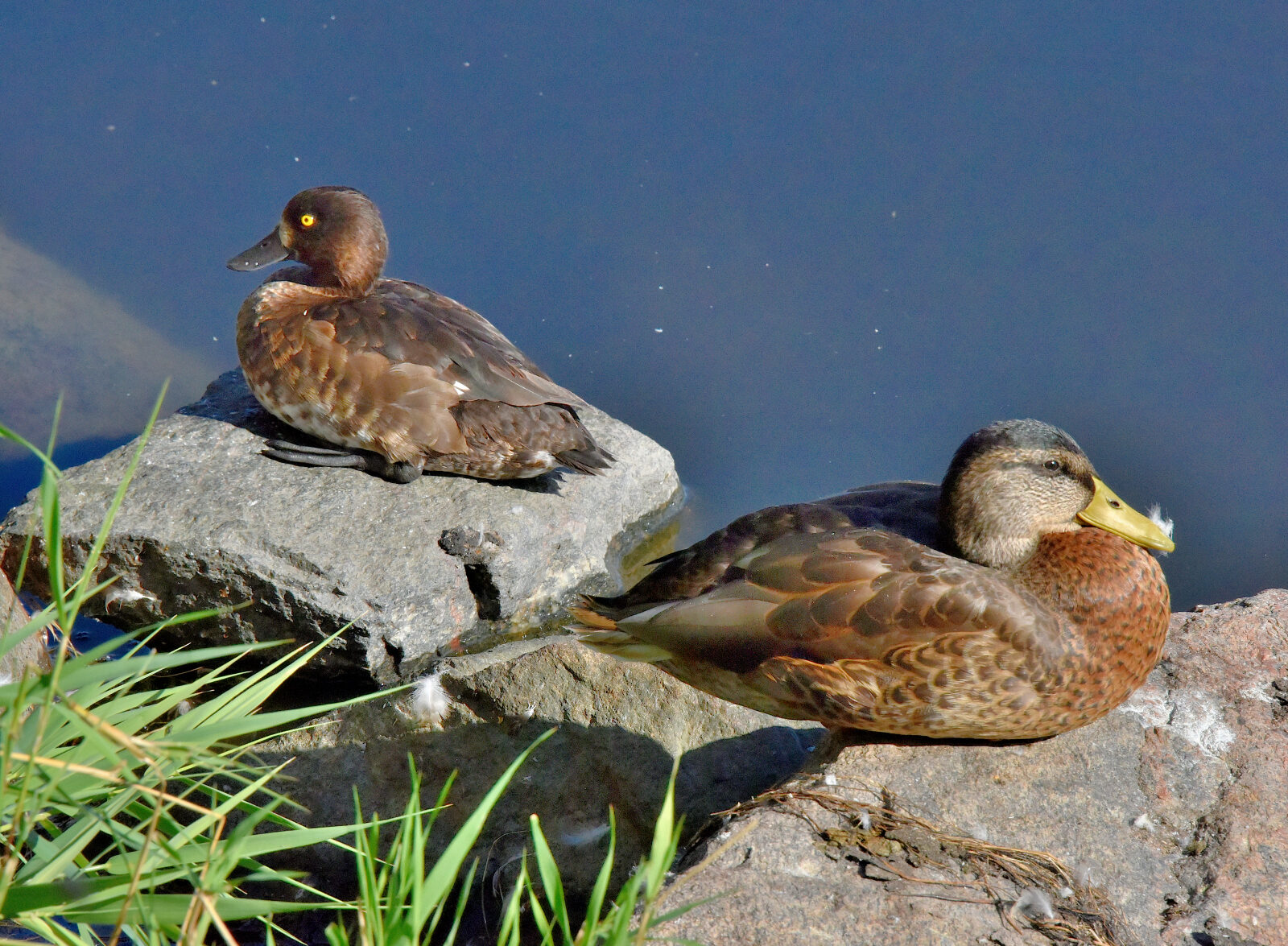 Valokuvaaja: Reijo Juurinen